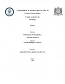 Información Profesiográfica