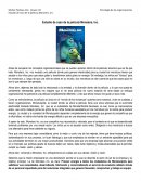 Ensayo Monsters Inc. relacionado a la Cultura Organizacional