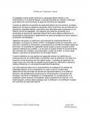 Ensayo perdida capacidad laboral