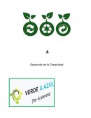 Proyecto Reciclar los desechos en los hogares