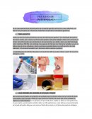 Pruebas de paternidad