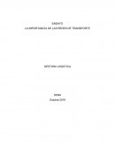 LA IMPORTANCIA DE LAS REDES DE TRANSPORTE