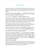 Celulas dendriticas