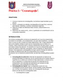 Práctica 5.- “Cromatografía”.