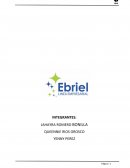 Trabajo final Ebriel Línea Empresarial EIRL