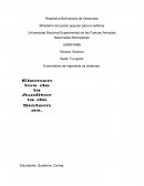 Elementos de la auditoria de sistema