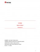 MIELES DEL MAIPO UNIDAD 2