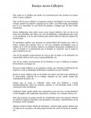 Ensayo Acoso Callejero