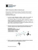 Hidrocarburos alifáticos Cuestionario guía