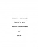 PROCESO DE TRANSFORMACION MINERA