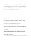 Diseccion de corazon y riñon