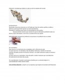 Población y términos demográficos