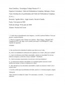 Introducción a la problemática del Taller de Problemáticas Complejas