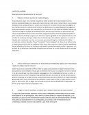 RESUMEN DE LA PELICULA AGORA