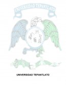 Resumen ¿Que es una constitucion?