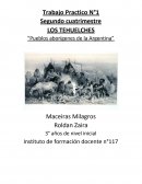 LOS TEHUELCHES “Pueblos aborígenes de la Argentina”