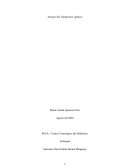 Ensayo Alcance del Transporte Logístico