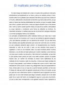 Maltrato animal en Chile