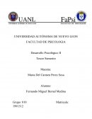 Ensayo Desarrollo Psicologico II