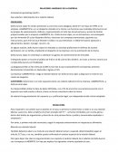 Delimitación de la Relación Laboral