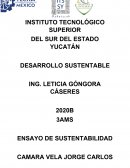 ENSAYO DE SUSTENTABILIDAD