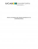 PUESTA EN MARCHA DEL SISTEMA DE RIEGO EN UNA COMUNIDAD RURAL