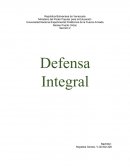 Seguridad Integral