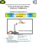 MECHERO DE BUNSEN