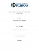 Administracion de empresas. Panadería Gourmet Tostiflup