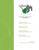 ENSAYO DEL MAESTRO DEL DINERO