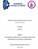 Ensayo ''Uso del glifosato''