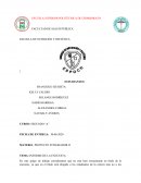 INFORME DE LA ENCUESTA
