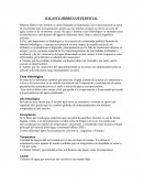 BALANCE HIDRICO SUPERFICIAL