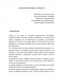 La importancia de la región en el desarrollo