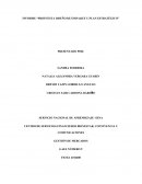 INFORME “PROPUESTA DISEÑO DE EMPAQUE Y PLAN ESTRATÉGICO”