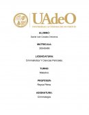 OPINION SOBRE LOS FACTORES DE LA CRIMINALIDAD