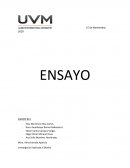 IMPORTANCIA DE LAS IDEAS EN EL DESARROLLO DE PROPUESTAS CREATIVAS