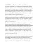 Aplicabilidad del counselling en la construcción de un plan de vida y carrera