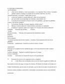 EL SISTEMA ENDOCRINO ACTIVIDADES