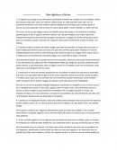 Texto argumentativo. Mis objetivos a futuro