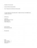 Cuatro tipos de contaminación y cómo estos han contribuido al cambio climático