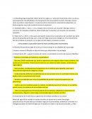 Linea del tiempo cogntivo