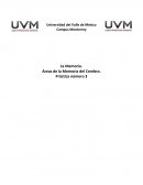 La Memoria. Áreas de la Memoria del Cerebro