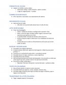 Una explicacion sencilla del excel