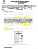 CASO E: Bolsitas biodegradables hechas a base de algas marrones