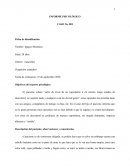 Informe psicologico