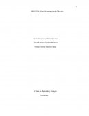 Foro: Segmentación de Mercado