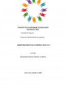 MARKETING DIRECTO DE LA EMPRESA “WAX S.A.C”