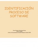 IDENTIFICACIÓN PROCESO DE SOFTWARE