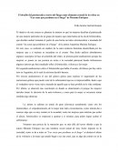 Ensayo del cuento las cosas que perdimos en el fuego de Mariana Enríquez